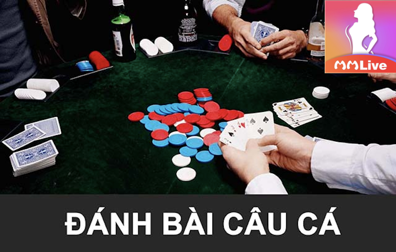 Đánh bài câu cá